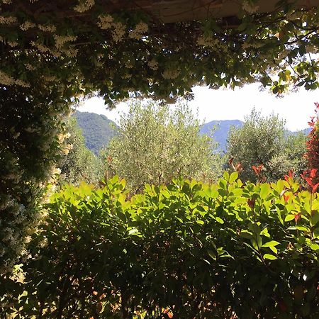 Agriturismo Tenuta La Fratta Bagni di Lucca Exterior foto