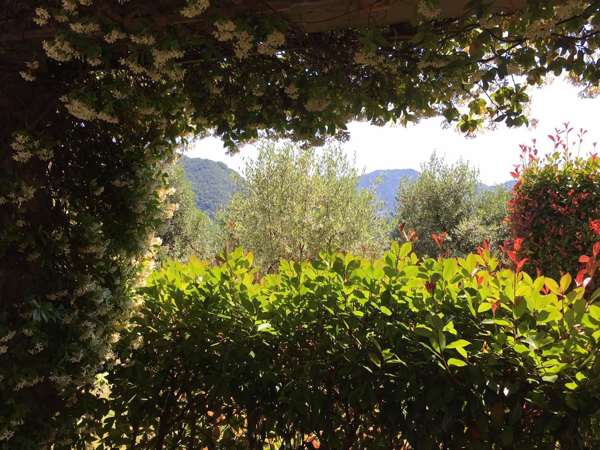Agriturismo Tenuta La Fratta Bagni di Lucca Exterior foto