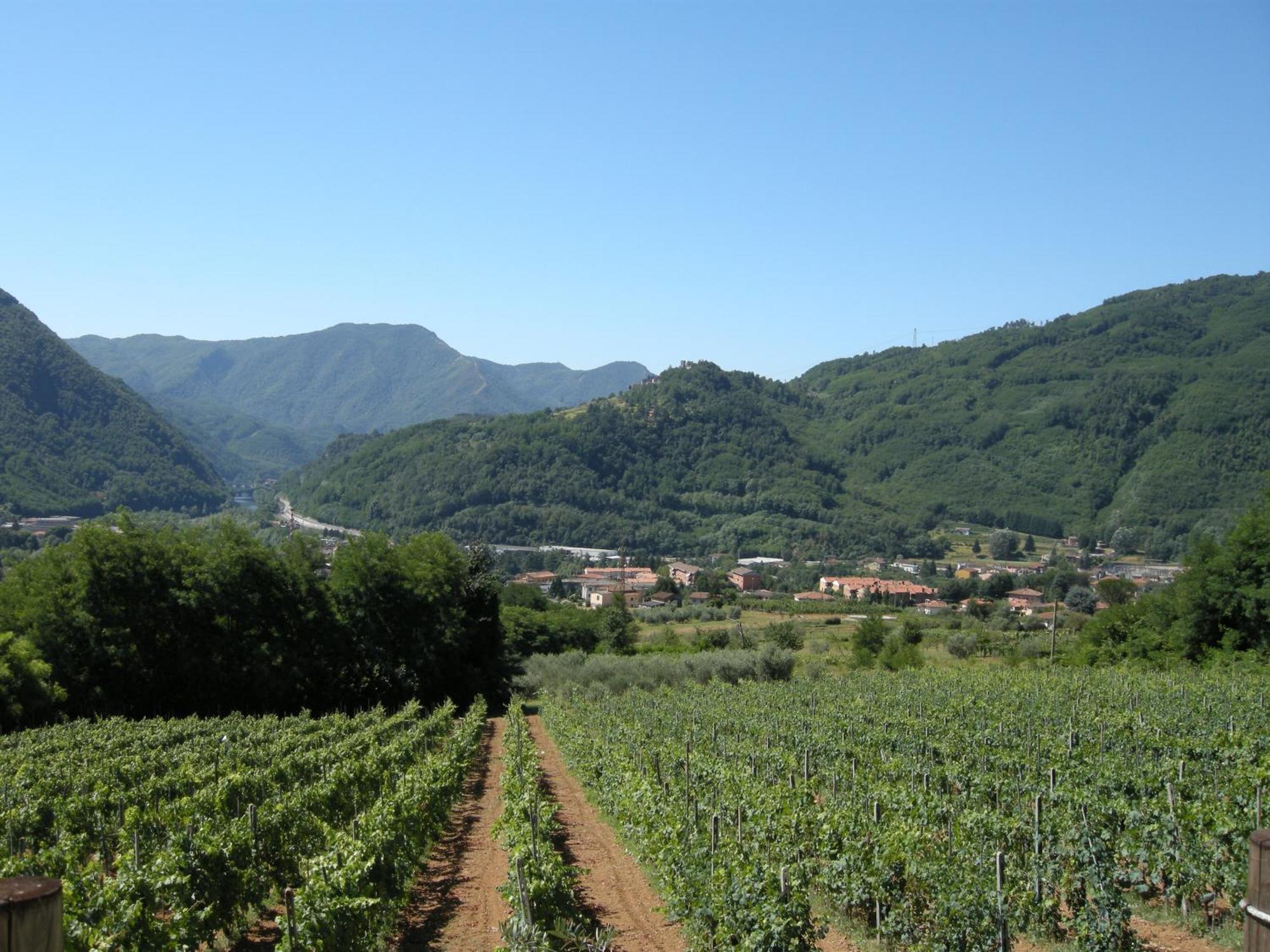 Agriturismo Tenuta La Fratta Bagni di Lucca Exterior foto