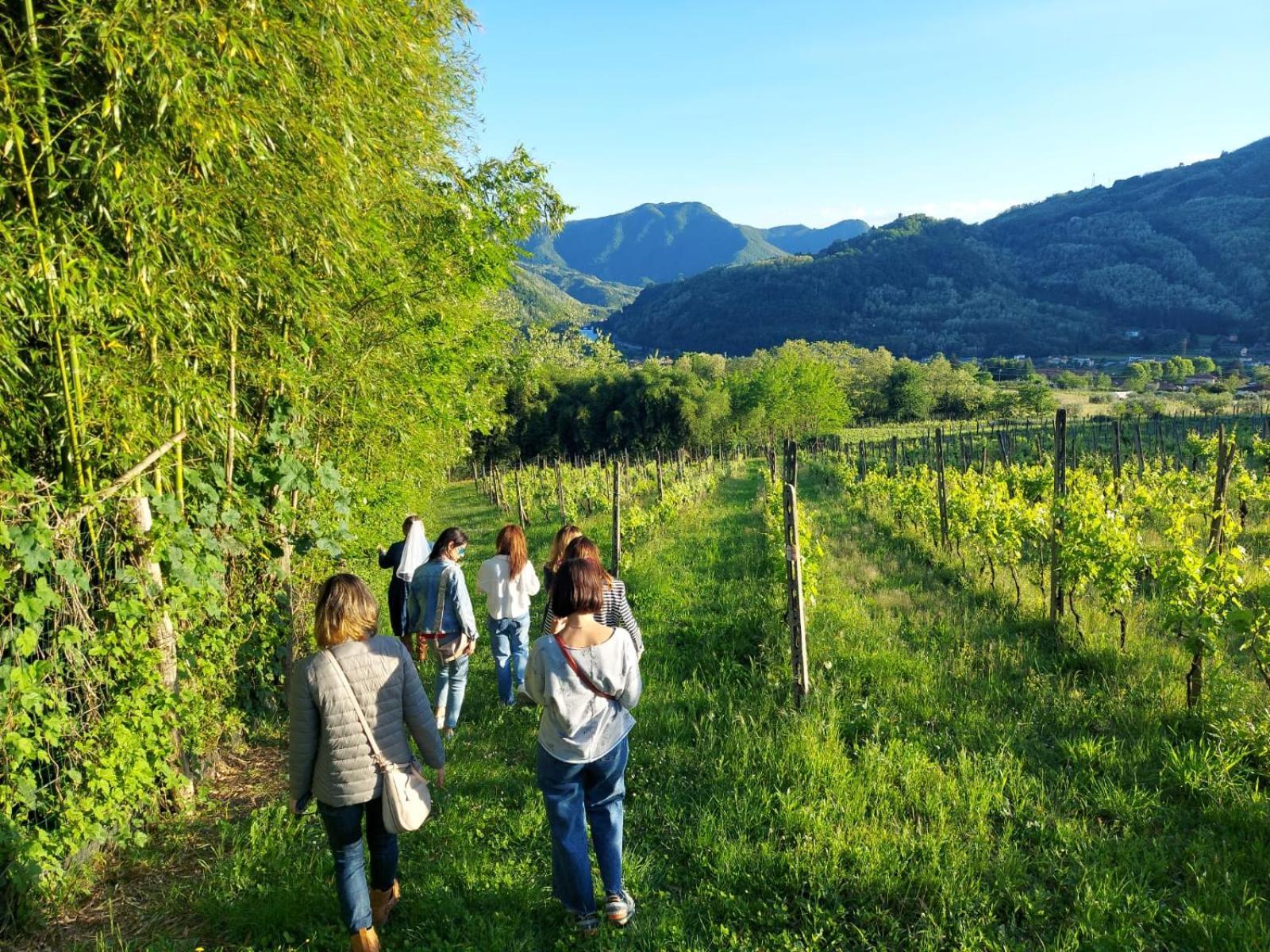 Agriturismo Tenuta La Fratta Bagni di Lucca Exterior foto